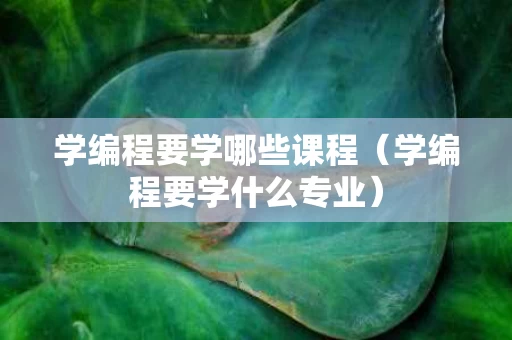 学编程要学哪些课程（学编程要学什么专业）