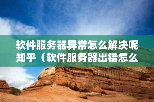 软件服务器异常怎么解决呢知乎（软件服务器出错怎么办）