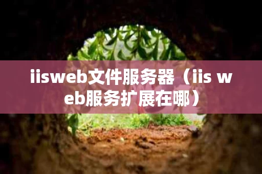 iisweb文件服务器（iis web服务扩展在哪）