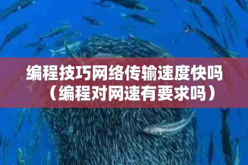 编程技巧网络传输速度快吗（编程对网速有要求吗）
