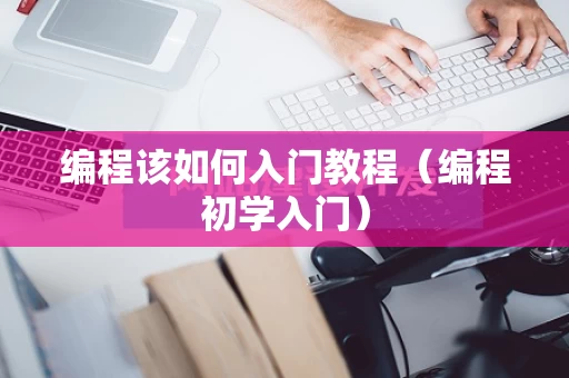 编程该如何入门教程（编程初学入门）
