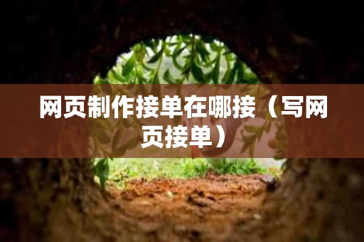 网页制作接单在哪接（写网页接单）