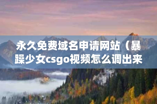 永久免费域名申请网站（暴躁少女csgo视频怎么调出来）