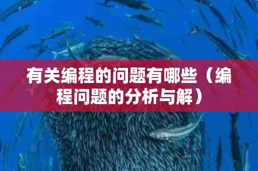 有关编程的问题有哪些（编程问题的分析与解）