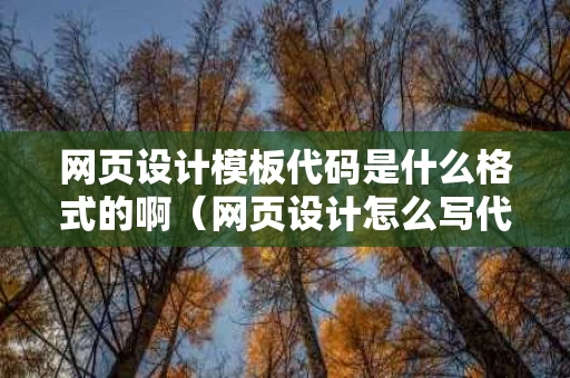 网页设计模板代码是什么格式的啊（网页设计怎么写代码）