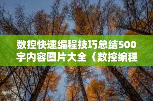 数控快速编程技巧总结500字内容图片大全（数控编程入门自学案例视频教程）