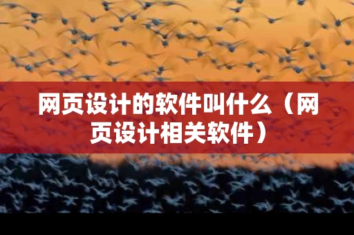 网页设计的软件叫什么（网页设计相关软件）