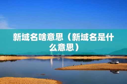 新域名啥意思（新域名是什么意思）