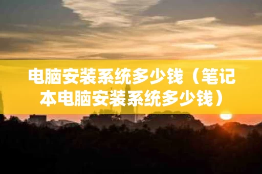 电脑安装系统多少钱（笔记本电脑安装系统多少钱）