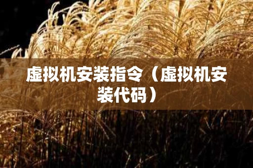 虚拟机安装指令（虚拟机安装代码）