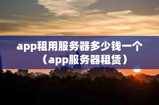 app租用服务器多少钱一个（app服务器租赁）