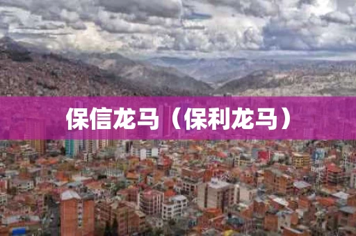 保信龙马（保利龙马）