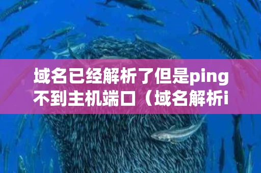 域名已经解析了但是ping不到主机端口（域名解析ip不正确）