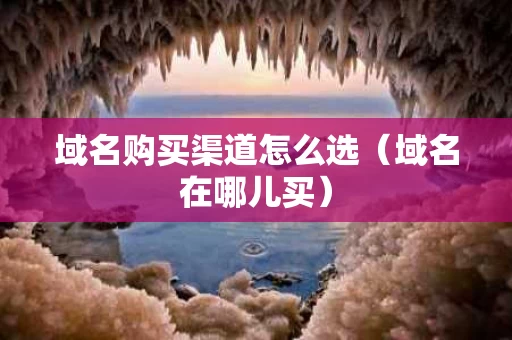 域名购买渠道怎么选（域名在哪儿买）