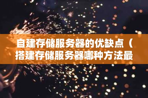 自建存储服务器的优缺点（搭建存储服务器哪种方法最好）