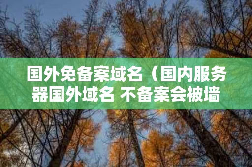 国外免备案域名（国内服务器国外域名 不备案会被墙吗）