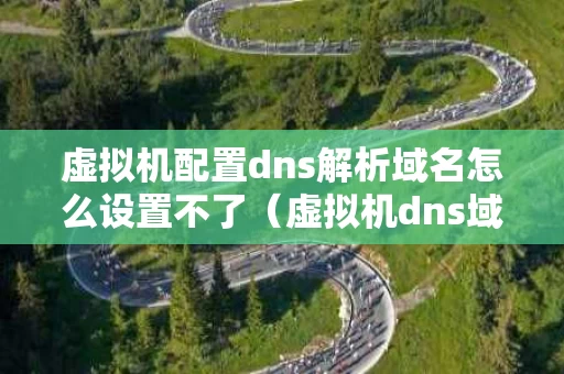 虚拟机配置dns解析域名怎么设置不了（虚拟机dns域名解析怎么做）