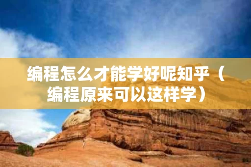 编程怎么才能学好呢知乎（编程原来可以这样学）