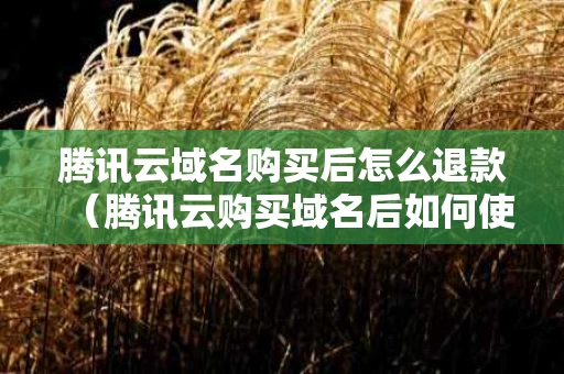 腾讯云域名购买后怎么退款（腾讯云购买域名后如何使用）
