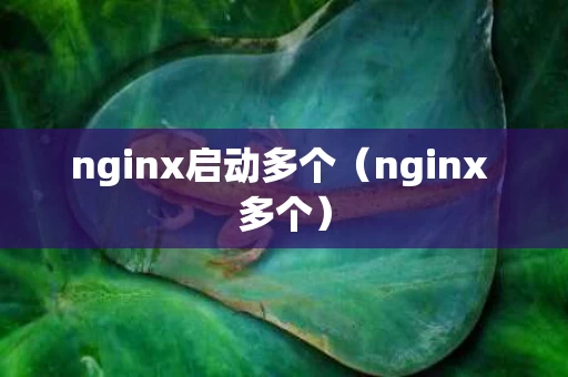 nginx启动多个（nginx 多个）
