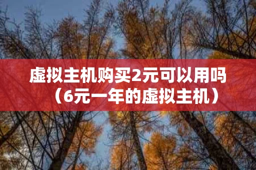 虚拟主机购买2元可以用吗（6元一年的虚拟主机）