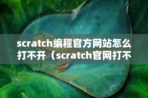 scratch编程官方网站怎么打不开（scratch官网打不开怎么办）