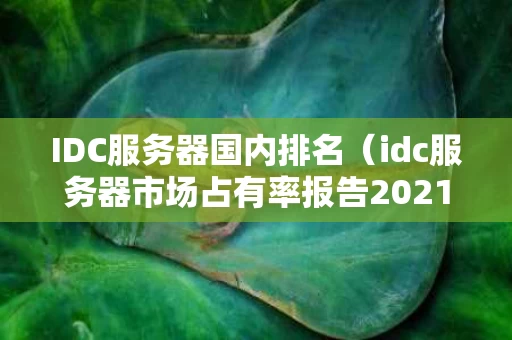 IDC服务器国内排名（idc服务器市场占有率报告2021）