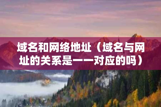 域名和网络地址（域名与网址的关系是一一对应的吗）