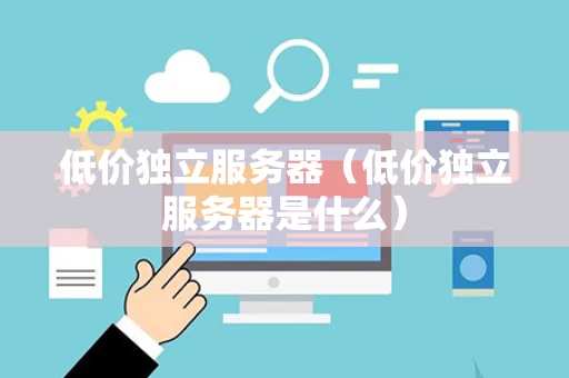 低价独立服务器（低价独立服务器是什么）