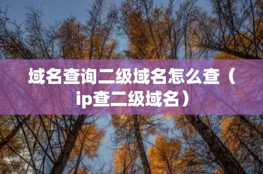 域名查询二级域名怎么查（ip查二级域名）