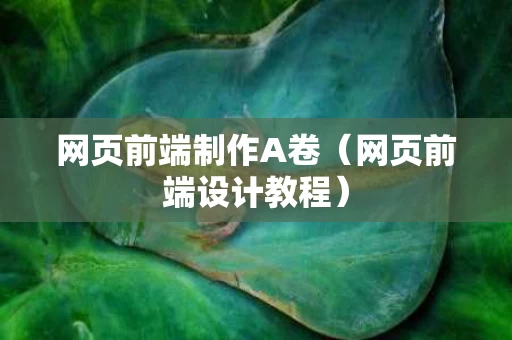 网页前端制作A卷（网页前端设计教程）