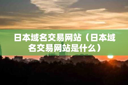 日本域名交易网站（日本域名交易网站是什么）