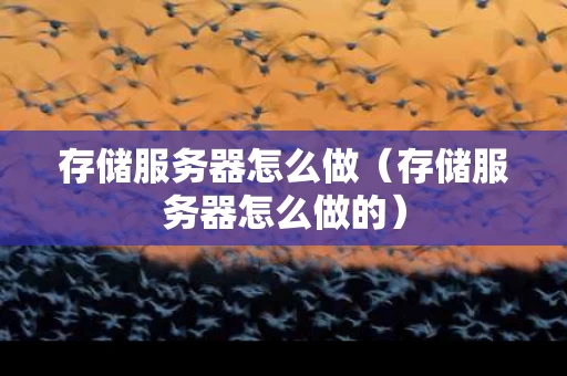 存储服务器怎么做（存储服务器怎么做的）