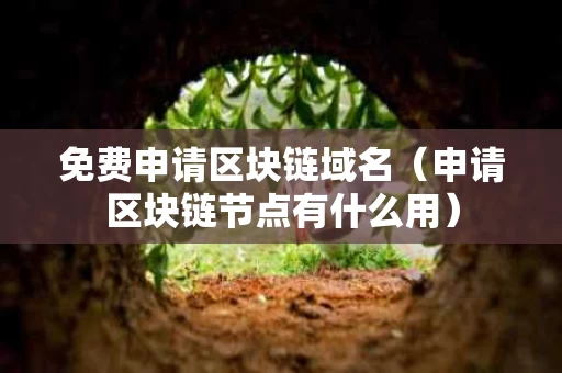 免费申请区块链域名（申请区块链节点有什么用）