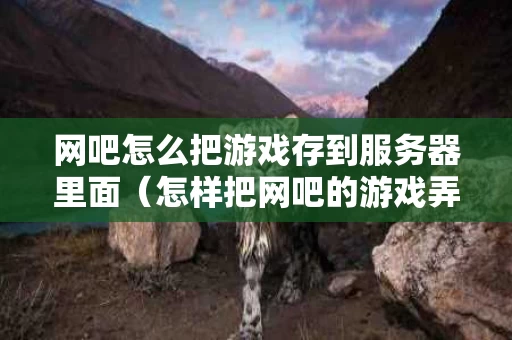 网吧怎么把游戏存到服务器里面（怎样把网吧的游戏弄到自己电脑）