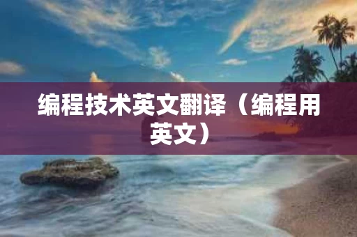 编程技术英文翻译（编程用英文）