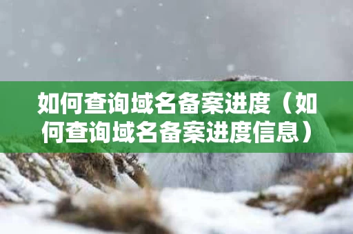 如何查询域名备案进度（如何查询域名备案进度信息）