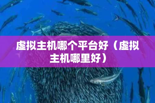 虚拟主机哪个平台好（虚拟主机哪里好）