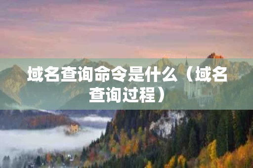 域名查询命令是什么（域名查询过程）