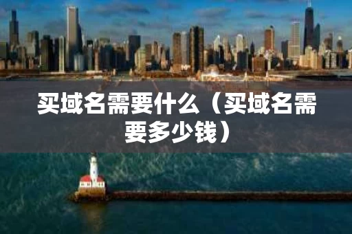 买域名需要什么（买域名需要多少钱）