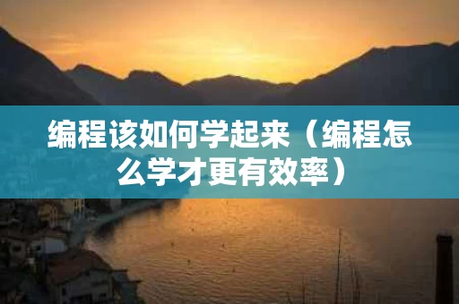 编程该如何学起来（编程怎么学才更有效率）