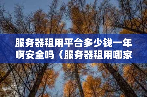 服务器租用平台多少钱一年啊安全吗（服务器租用哪家好而且便宜）