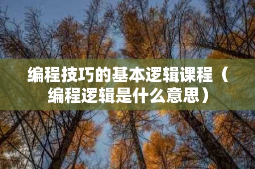 编程技巧的基本逻辑课程（编程逻辑是什么意思）