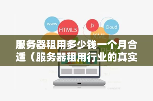 服务器租用多少钱一个月合适（服务器租用行业的真实感受）