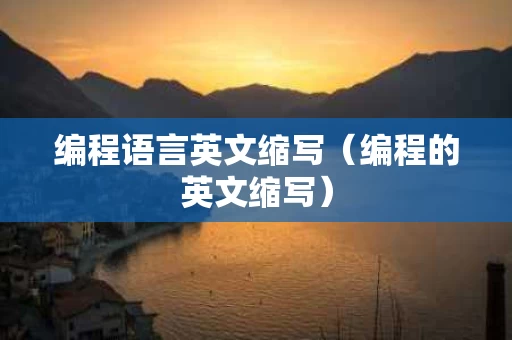 编程语言英文缩写（编程的英文缩写）