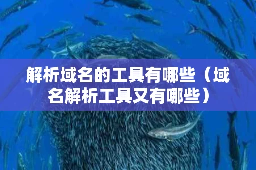 解析域名的工具有哪些（域名解析工具又有哪些）