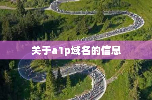 关于a1p域名的信息