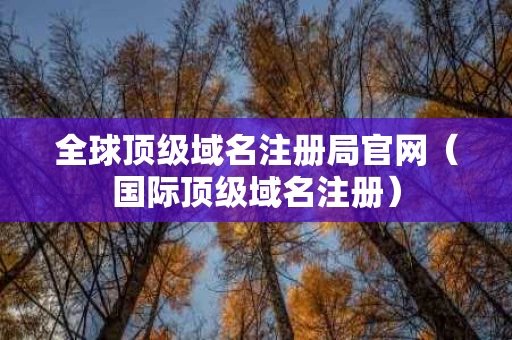 全球顶级域名注册局官网（国际顶级域名注册）
