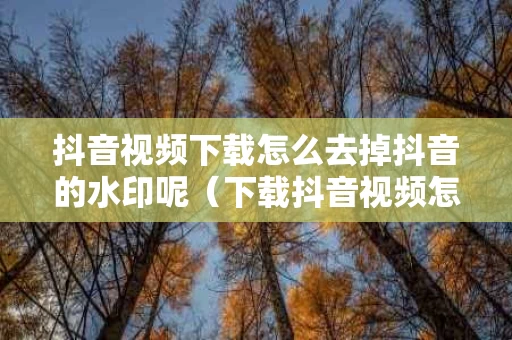 抖音视频下载怎么去掉抖音的水印呢（下载抖音视频怎么去除水印）