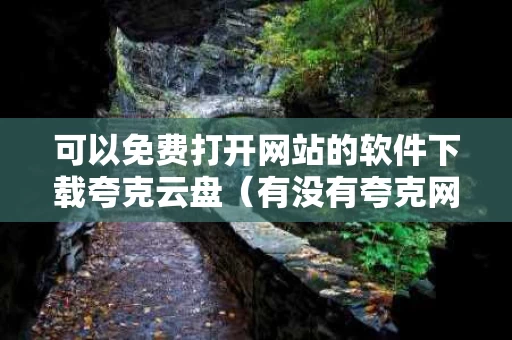 可以免费打开网站的软件下载夸克云盘（有没有夸克网址）